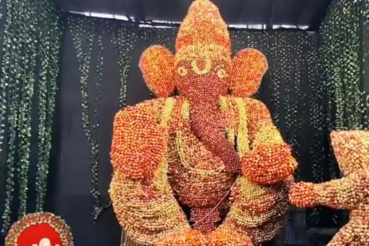 Viral Video: 1500 KG से अधिक सेब से बनी गणेश प्रतिमा, विसर्जन के लिए अनूठी योजना तैयार