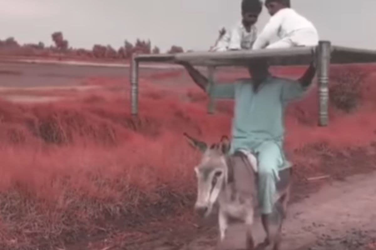 Viral Video: सिर पर चारपाई रख शख्स ने की गधे की सवारी, गोली की रफ्तार से वायरल हो रहा वीडियो