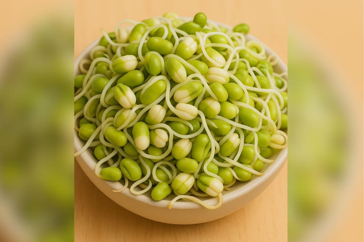 Sprouts Recipe Ideas: लंच हो या ऑफिस टिफिन, इन रेसिपी को जरूर बनाएं