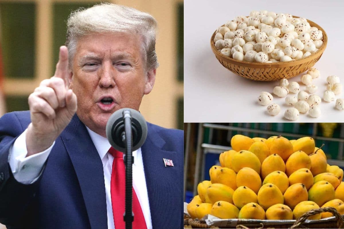 Trump Tarrif से बिहार के 250 करोड़ का कारोबार संकट में! मखाना-लीची समेत इन प्रोडक्ट्स पर पड़ेगा असर...