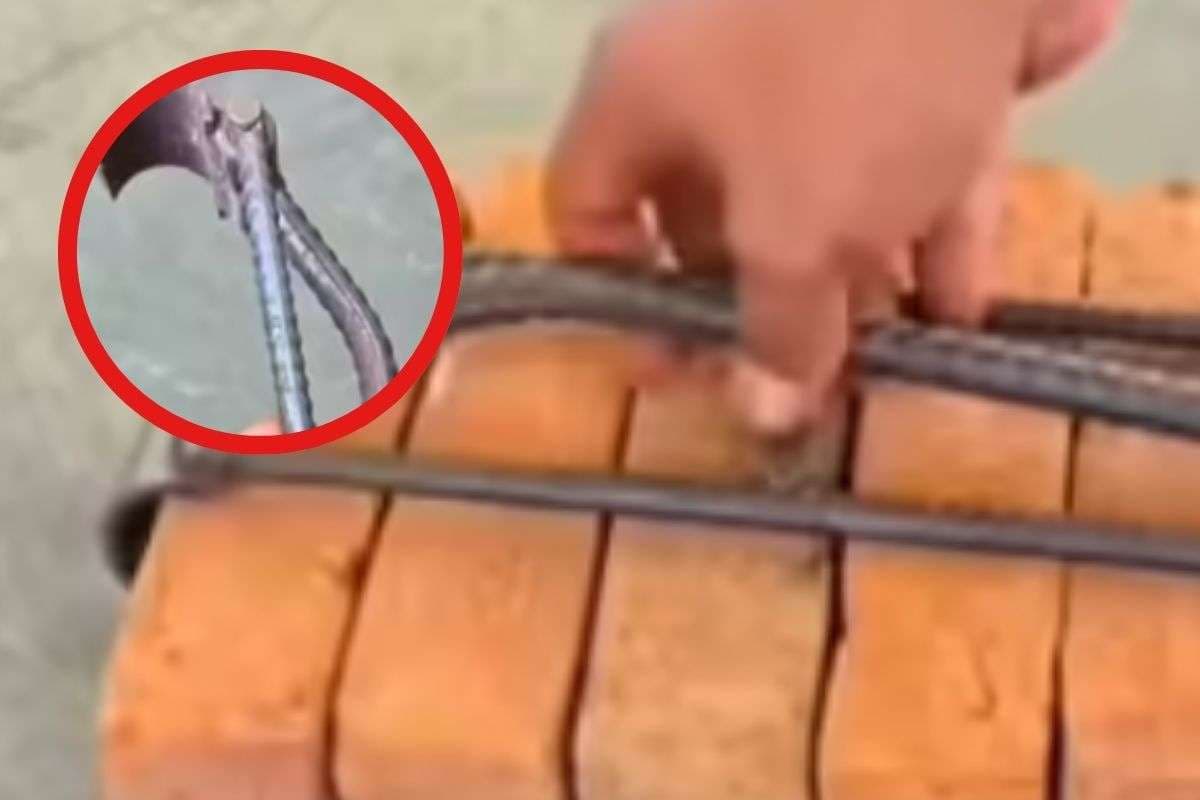 Viral Video : एक हाथ से 5 ईंट ऐसे उठा लिया, जुगाड़ देख सब हैरान