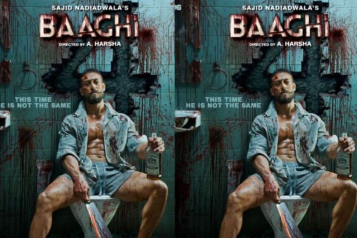 Baaghi 4 Box Office Collection Day 13