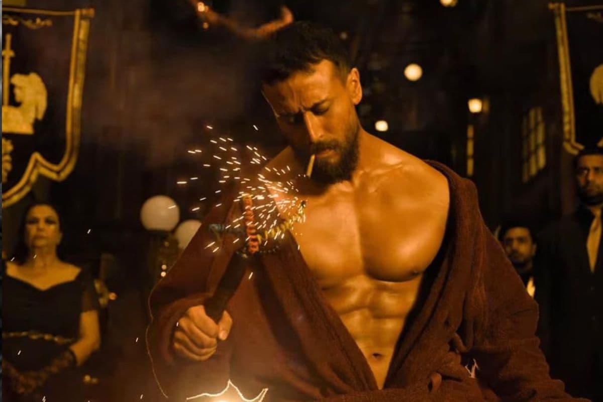 Baaghi 4 Box Office Collection Day 11