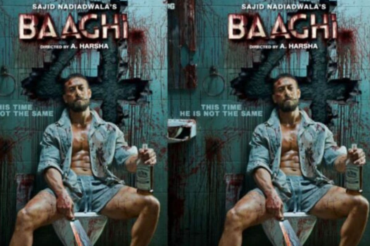 Baaghi 4 Box Office Records