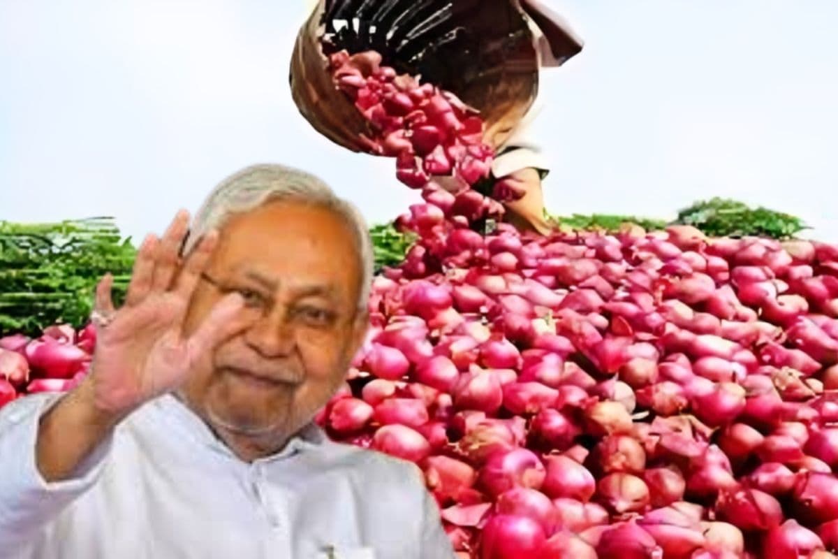 Bihar Government Onion Scheme: बिहार सरकार की प्याज योजना, किसानों को सब्सिडी पर बीज, आय बढ़ाने का बड़ा मौका
