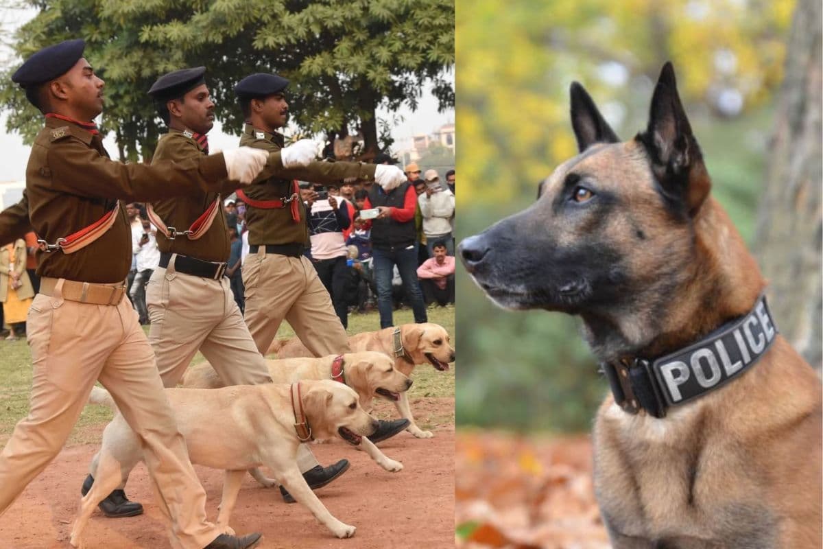 Bihar Police