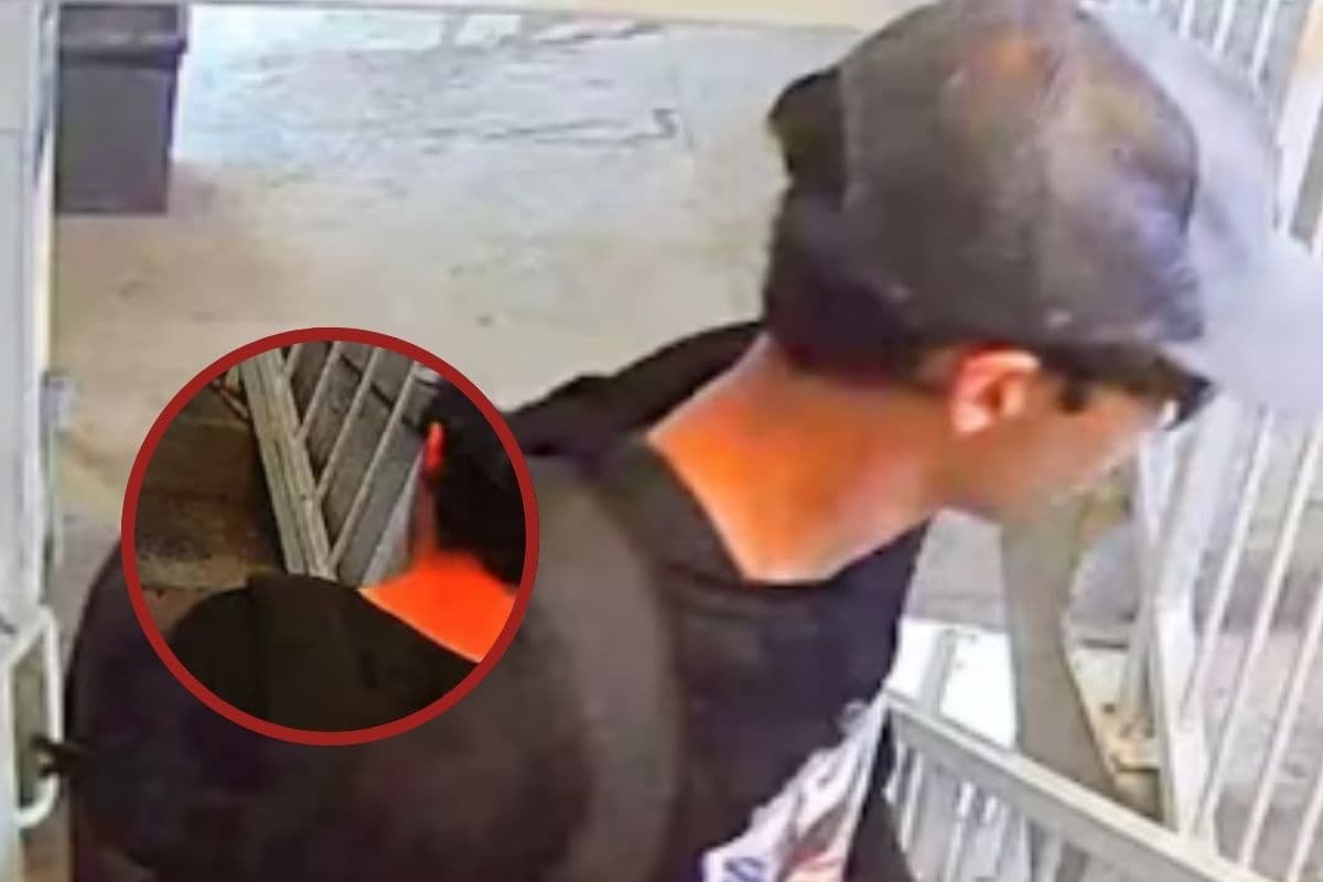 Charlie Kirk Assassination : स्टूडेंट की तरह आया, चार्ली किर्क को मारी गोली, एफबीआई ने जारी की संदिग्ध की नई तस्वीर