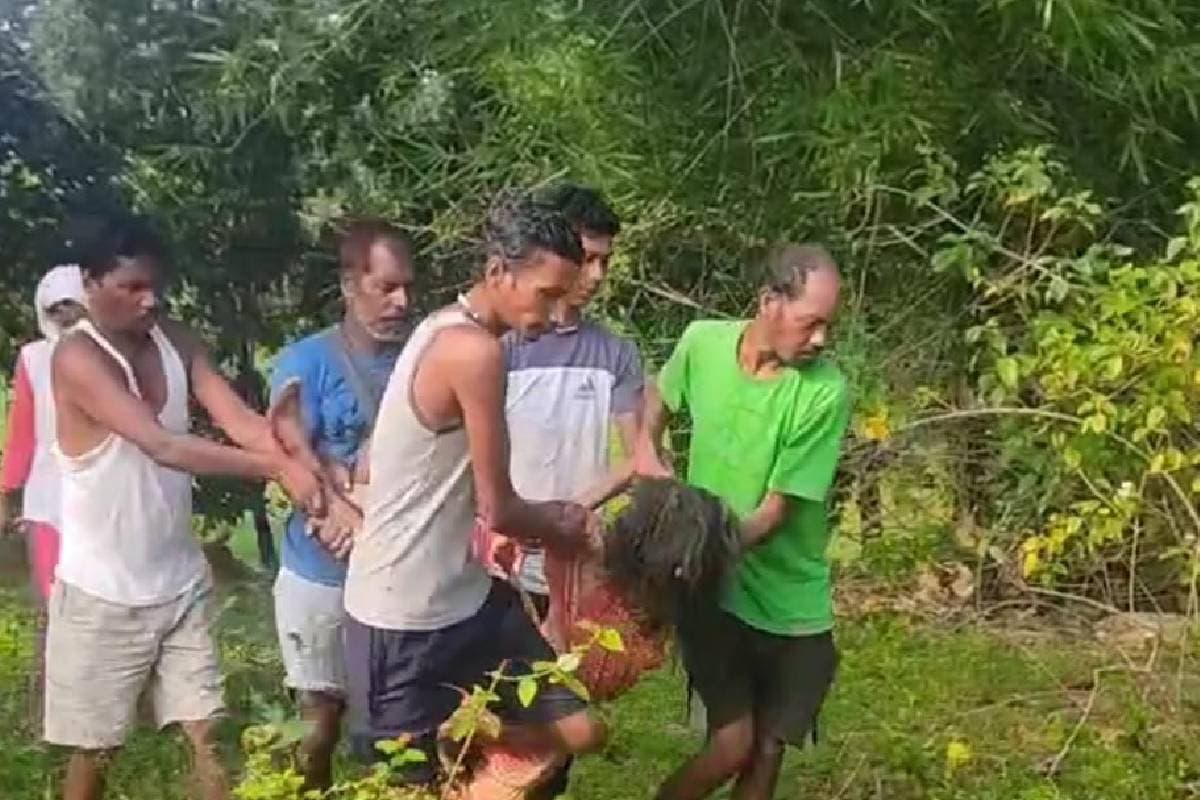 Elephant Attacks : खुखड़ी बीनने गई महिला, हाथी ने सूंड से उठाकर जमीन पर पटक दिया, मौत