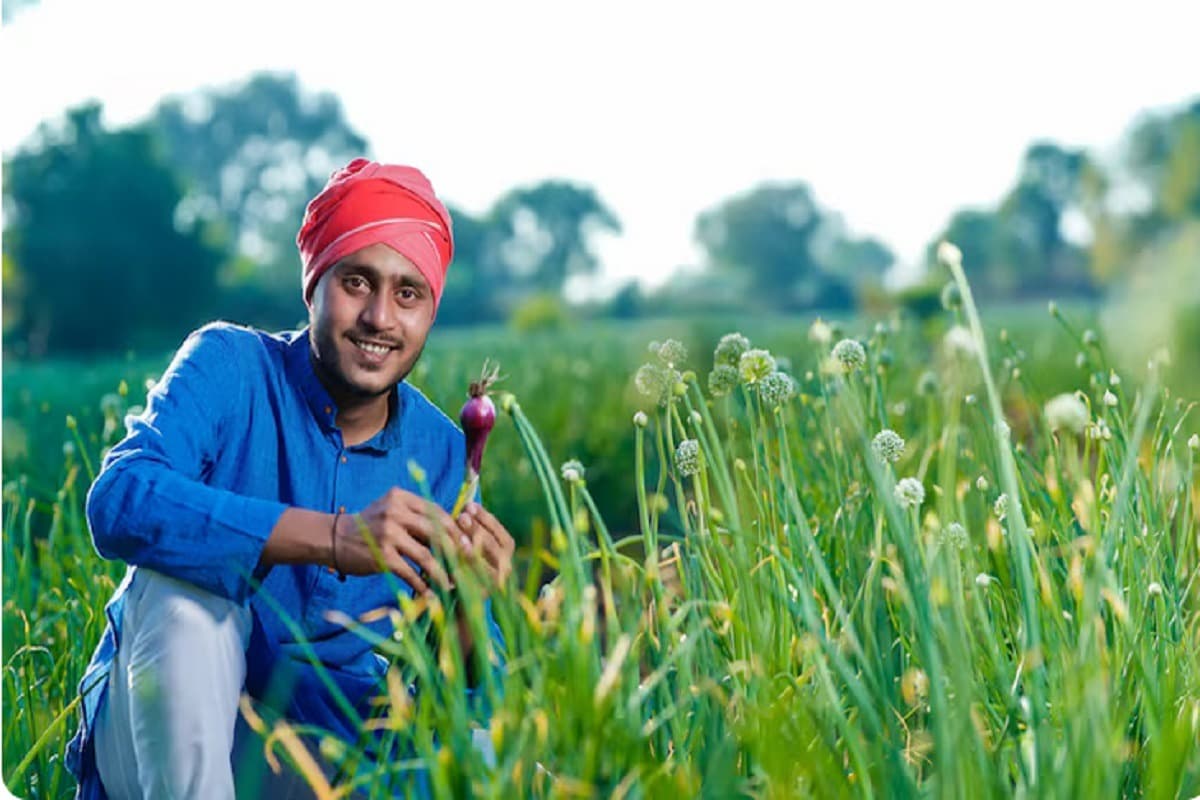 Farmers Income: किसानों की बढ़ेगी अब कमाई, सरकार ने किया तगड़ा इंतजाम