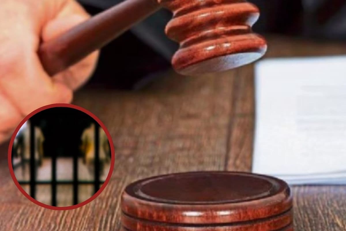 Govt Change Law : सरकारी जमीन पर कब्जा हो या ये छोटे अपराध, अब जेल नहीं होगी