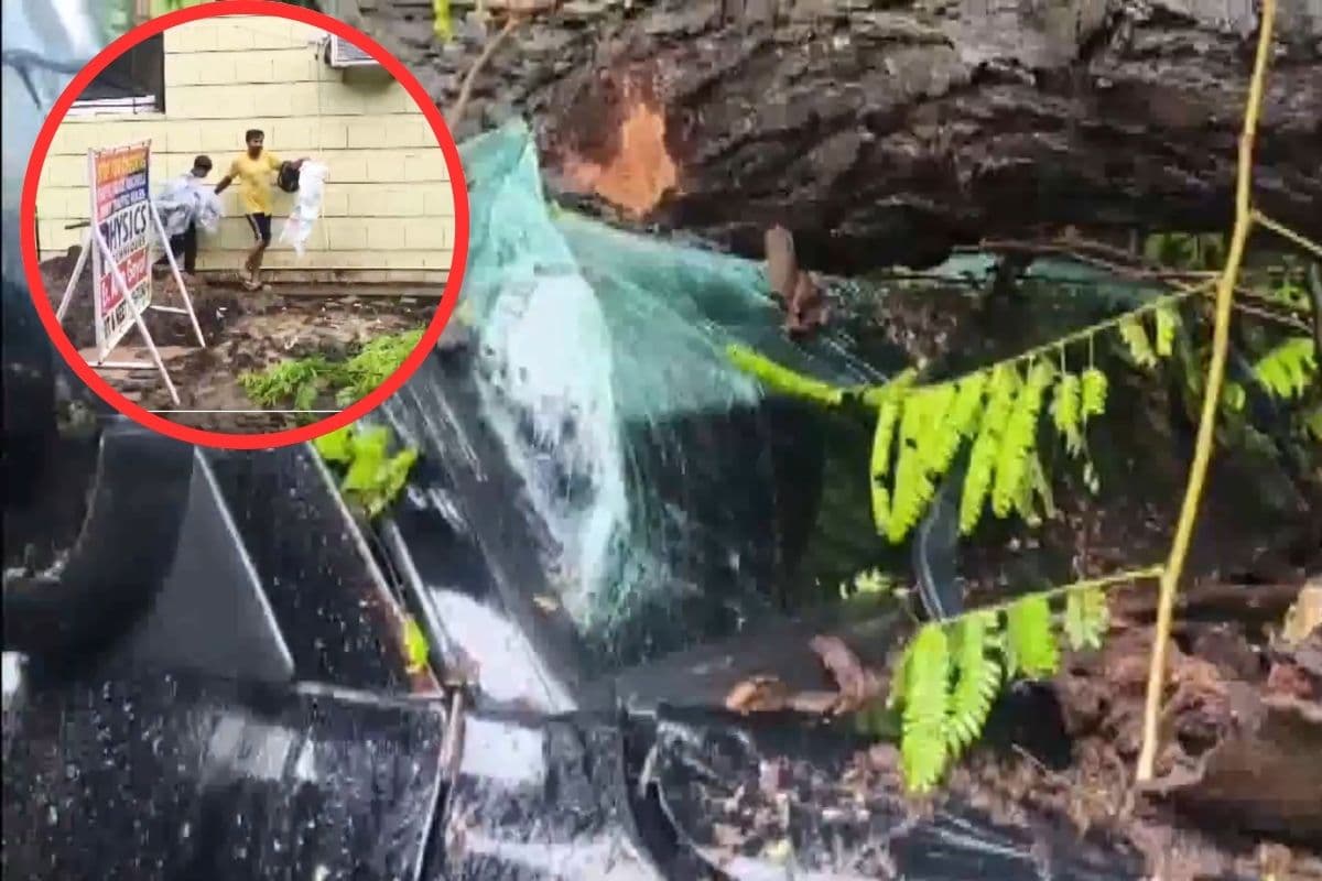 Heavy Rain Video: पंजाब-हरियाणा में बारिश से भारी तबाही, पंजकूला में स्कूल वैन पर गिरा पेड़, कई के घायल होने की आशंका