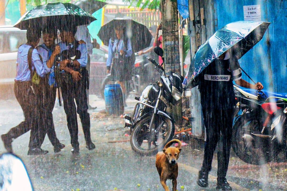 झारखंड में सक्रिय हुआ मानसून, झमाझम बारिश के बावजूद रांची में बढ़ा तापमान, IMD के 2-2 येलो अलर्ट जारी