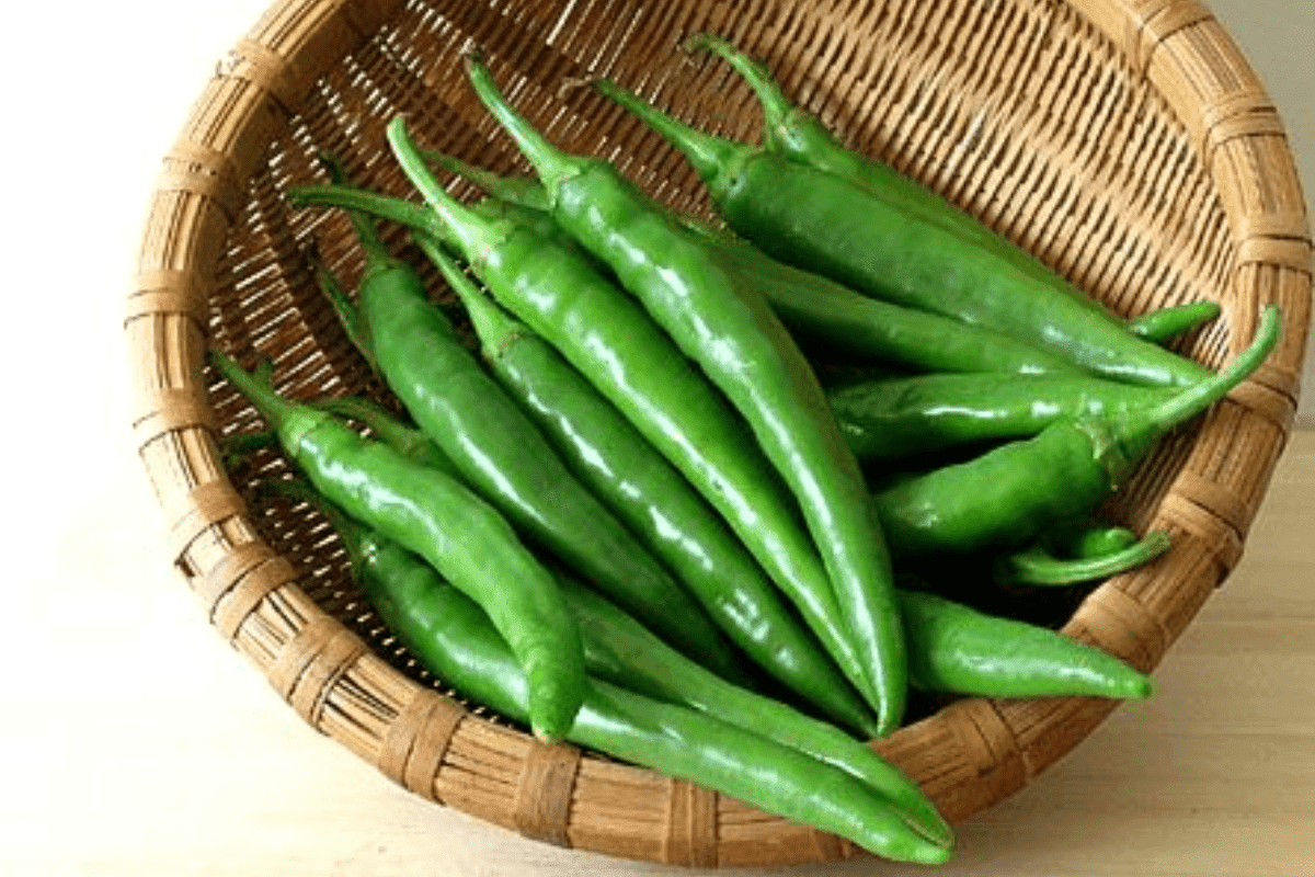Kitchen Tips to Store Green Chilies: महीने भर भी नहीं होगी हरी मिर्च खराब, लंबे समय तक स्टोर करने के आसान किचन टिप्स