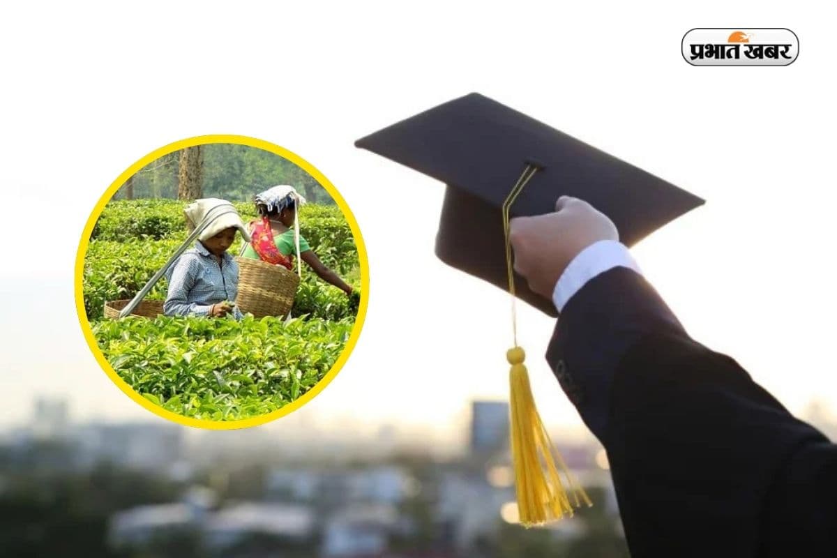 MBA In Tea Management MBA In Tea Management