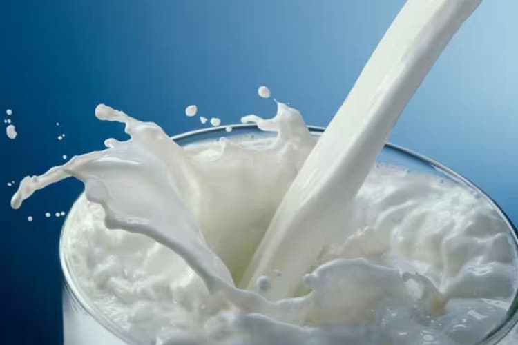 Good News: आज से सस्ता हुआ दूध, घी पनीर और बटर, यहां देखिए नयी कीमत