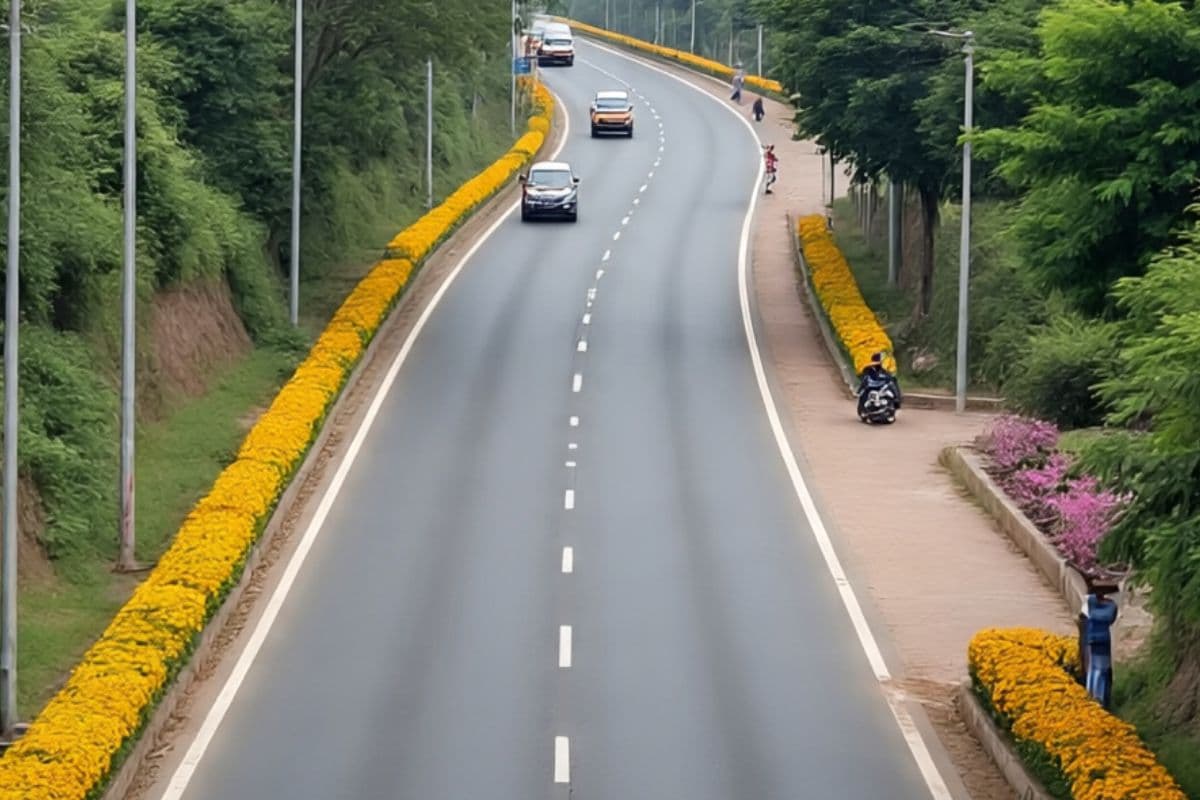 New Road In Bihar bumper gift new bridges also built in four districts New Road In Bihar bumper gift new bridges also built in four districts