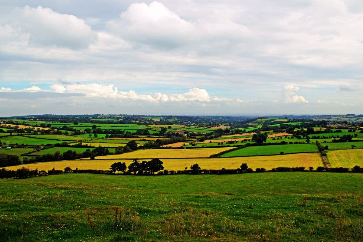 चतरा समेत 6 जिलों में अगले 3 घंटे में बारिश-वज्रपात की चेतावनी, मौसम केंद्र ने जारी किया येलो अलर्ट