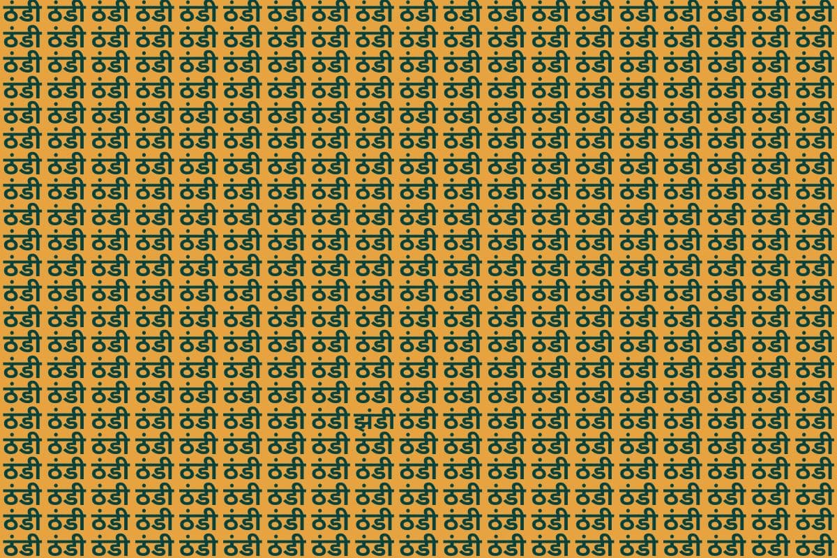 Optical Illusion: ठंडी की भीड़ में छिपा है झंडी, क्या आप 10 सेकंड के अंदर ढूंढ़ने पाएंगे