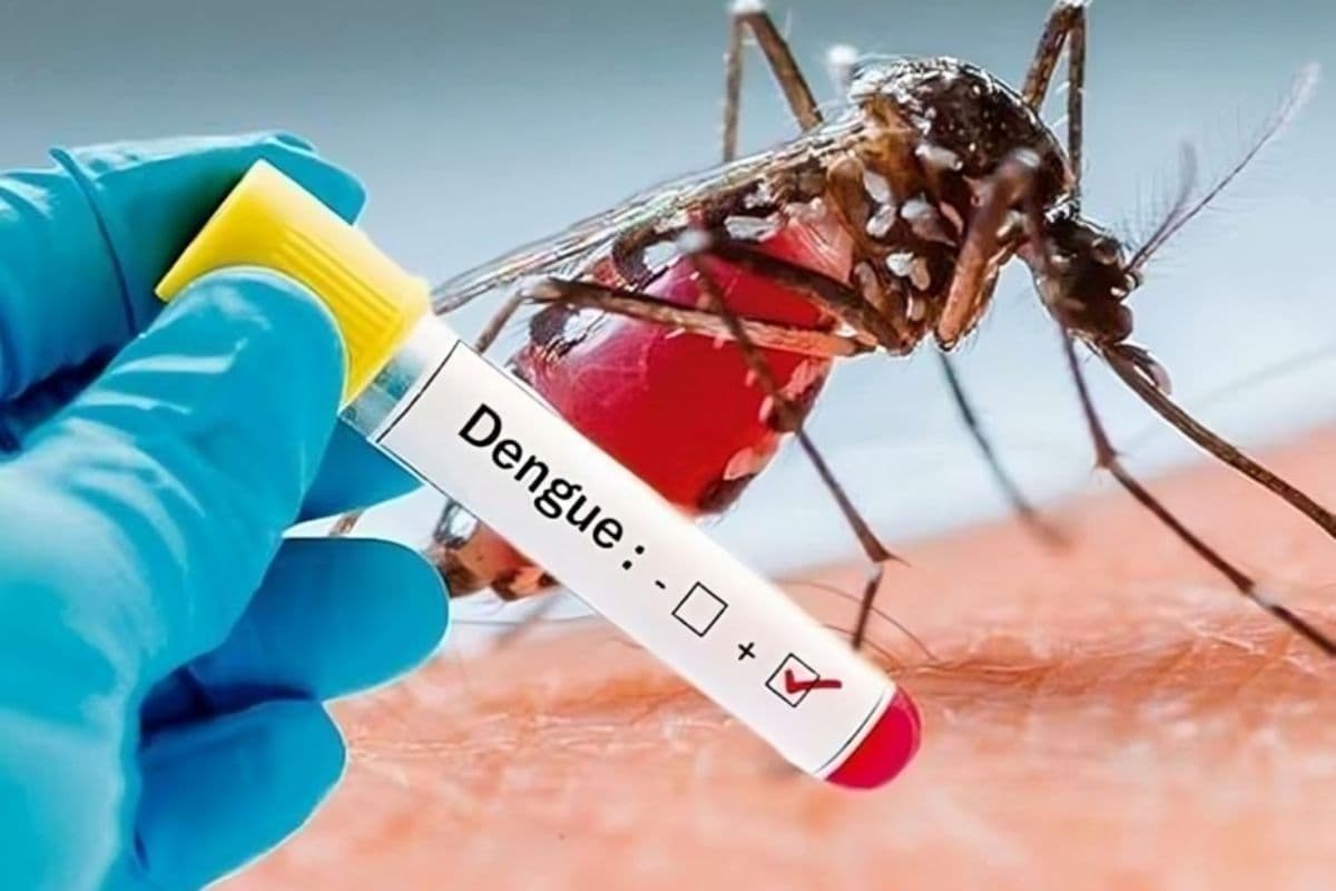 Patna Dengue: पटना में डेंगू का प्रकोप,227 मरीज मिले, 20 इलाके बने हॉटस्पॉट