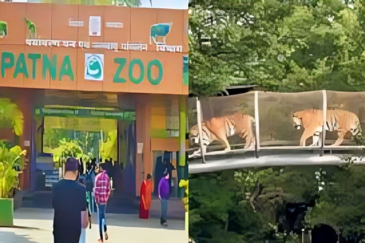 Patna Zoo: पटना ज़ू वर्ल्ड क्लास बनने की राह पर, बिहार सरकार ने शुरू की नई पहल