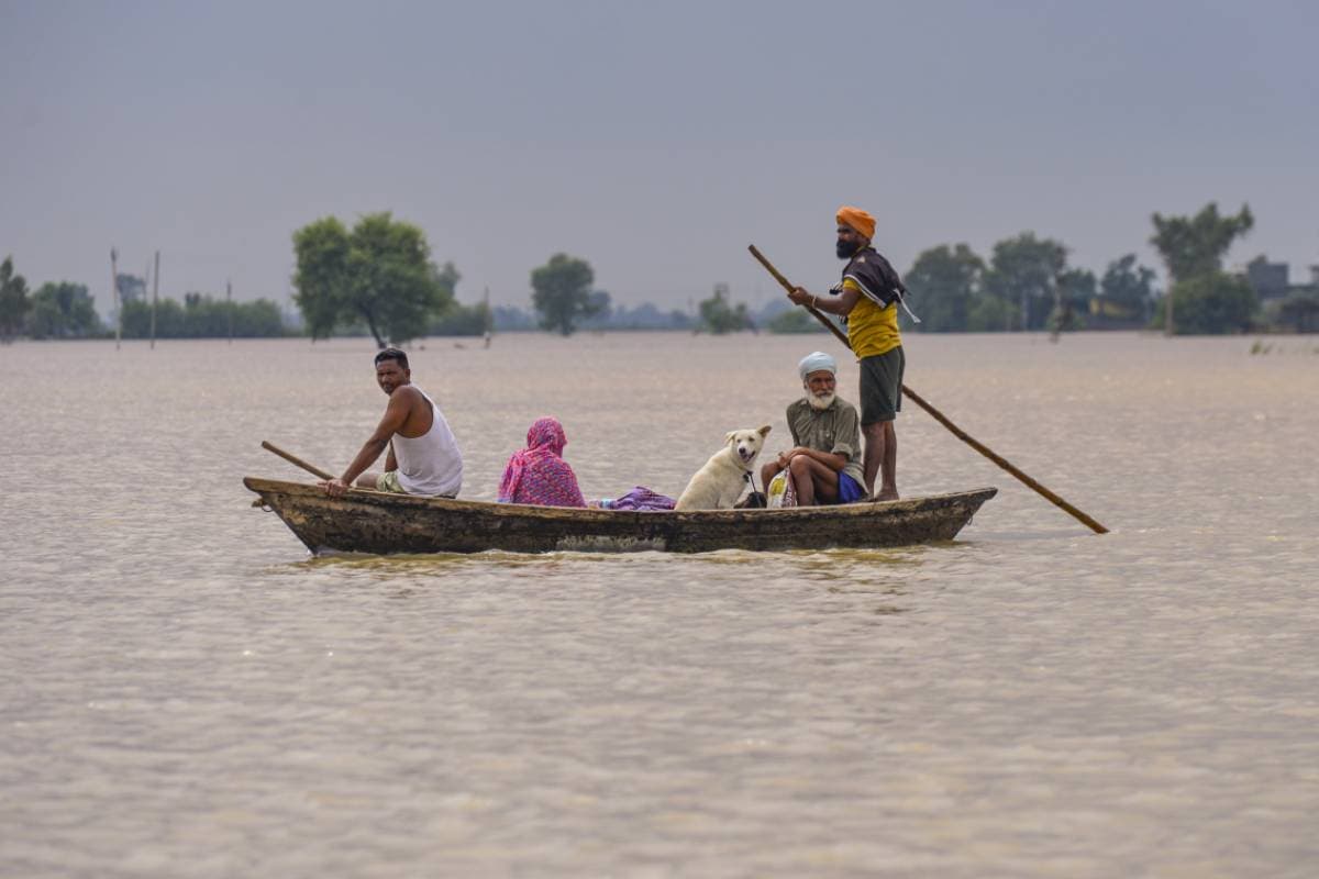 Punjab Flood Video : 1988 के बाद की सबसे भयानक बाढ़, डरावना वीडियो आया सामने