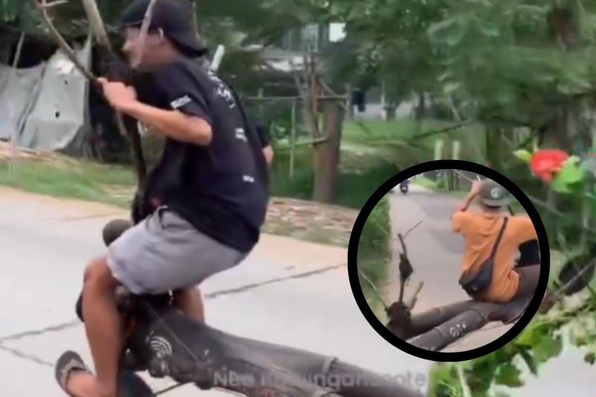 Viral Video : पेड़ से बना दी बाइक, टेक्नोलॉजी देखकर सिर खुजलाने लगेंगे आप