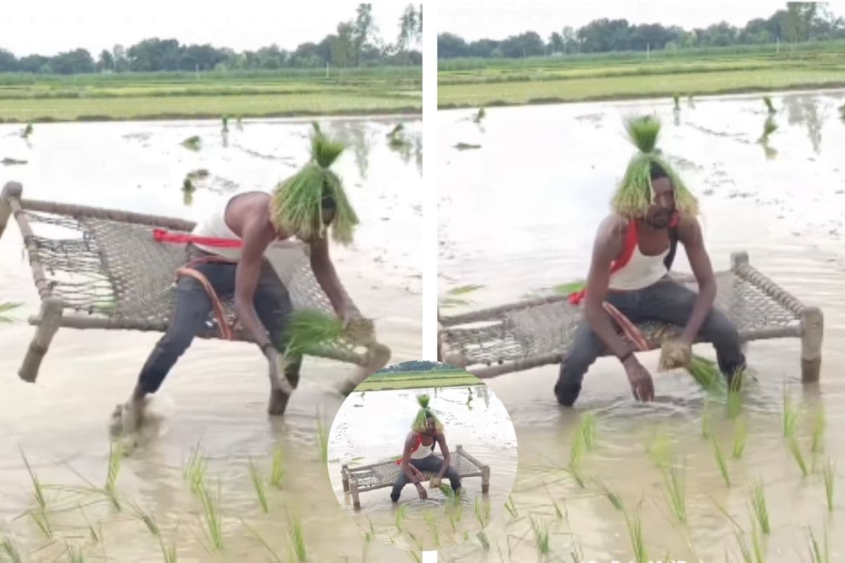 Viral Video: देशी टेक्नोलॉजी है, खेती करने की इस तकनीक को देखकर रह जाएंगे दंग, वायरल हो रहा वीडियो