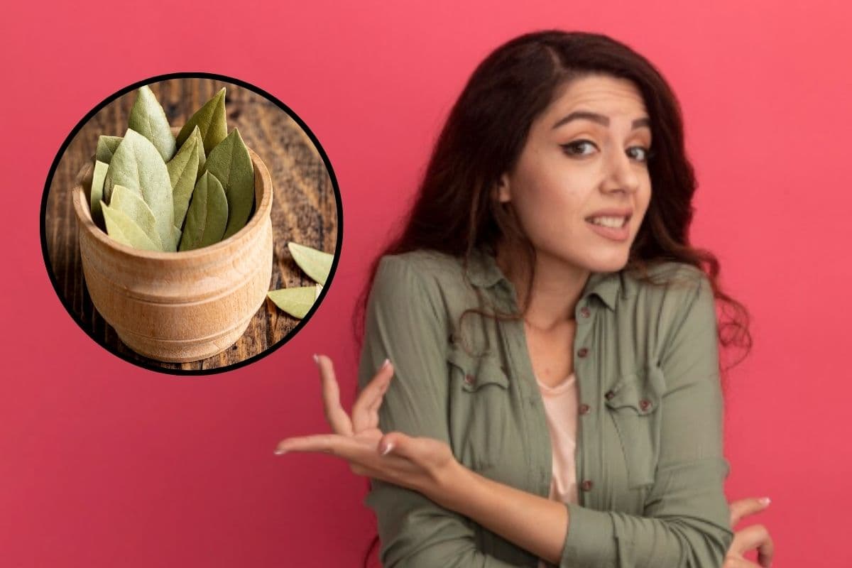 तेज पत्ता को English में क्या कहते हैं? हर Foodie को पता होना चाहिए जवाब