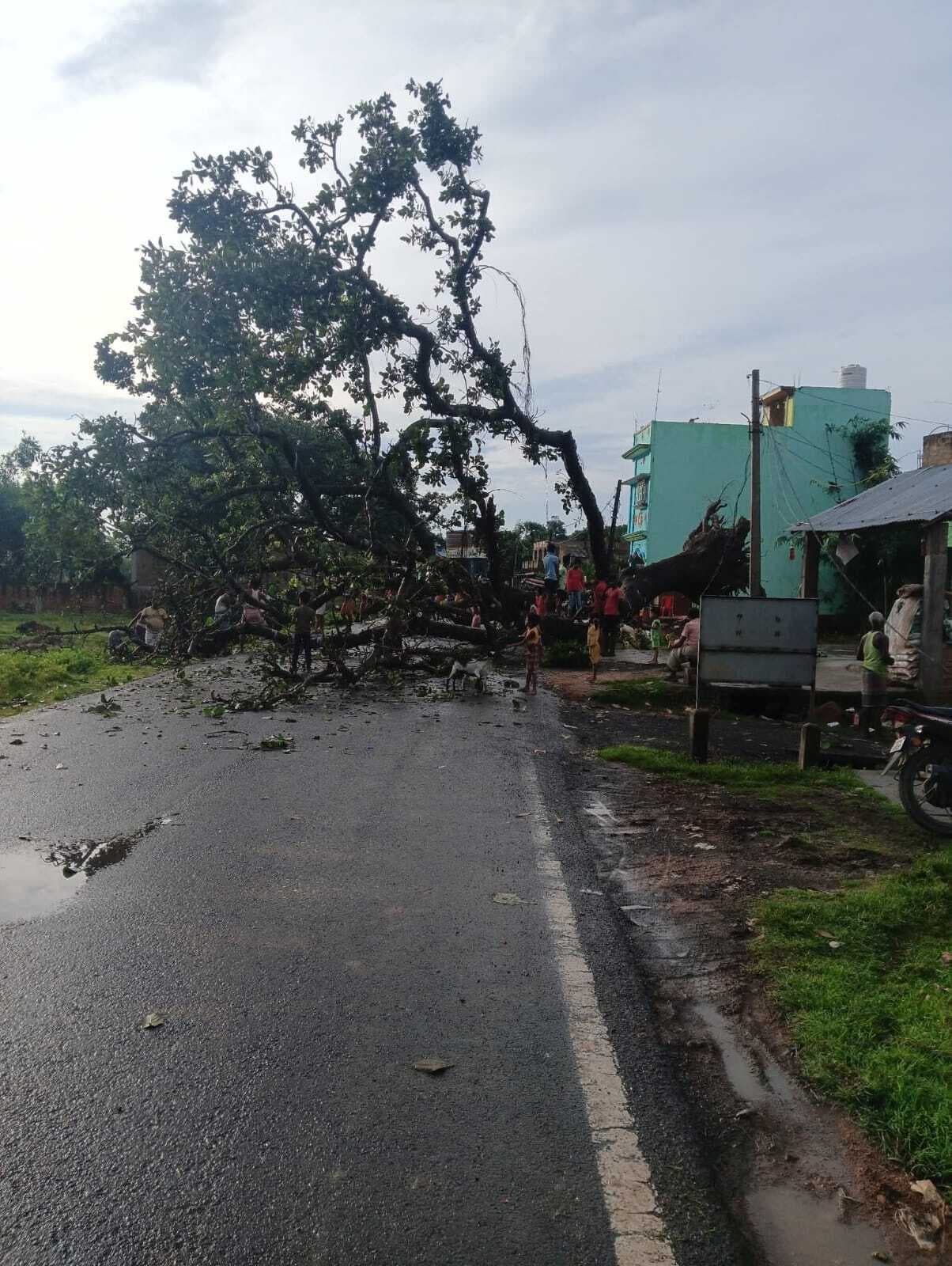 कोटालपोखर-हिरणपुर पथ पर वृक्ष गिरा, 12 घंटे आवागमन रहा बाधित