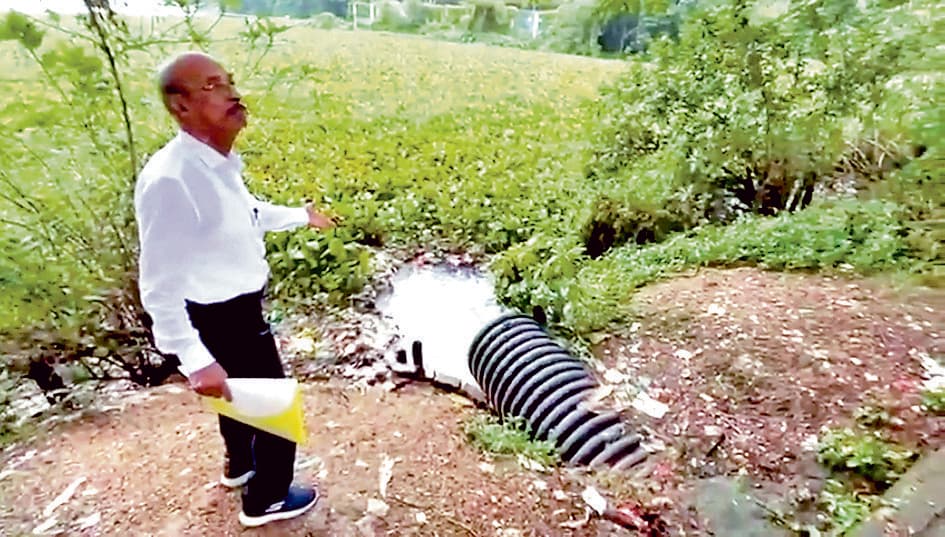 साहेबबांध पर प्रदूषण का संकट गहराया, मर रही हैं मछलियां