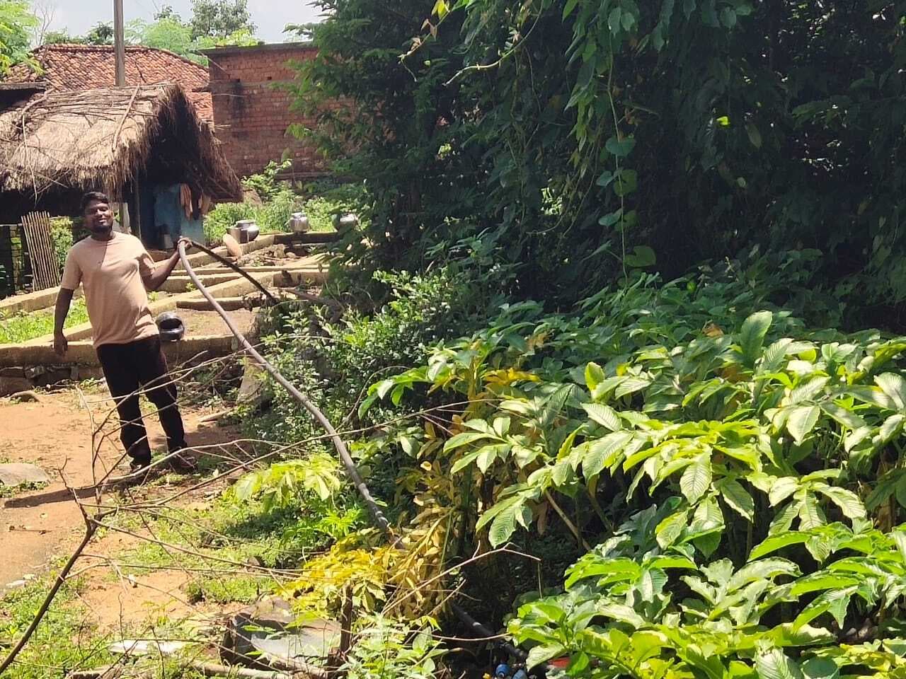 East Singhbhum News : डुमरिया में जल योजना फेल, घरों में नहीं पहुंच रहा पानी, जैसे-तैसे बिछा दिया पाइप