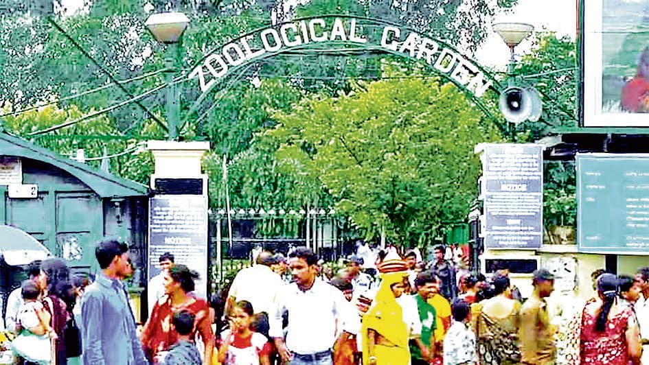 चिड़ियाघर से गायब नहीं हुआ एक भी जानवर वन विभाग की जांच रिपोर्ट में हुआ खुलासा