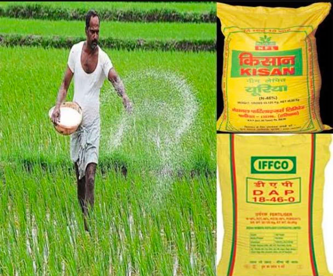 Motihari: यूरिया खाद को लेकर किसानों में हाहाकार
