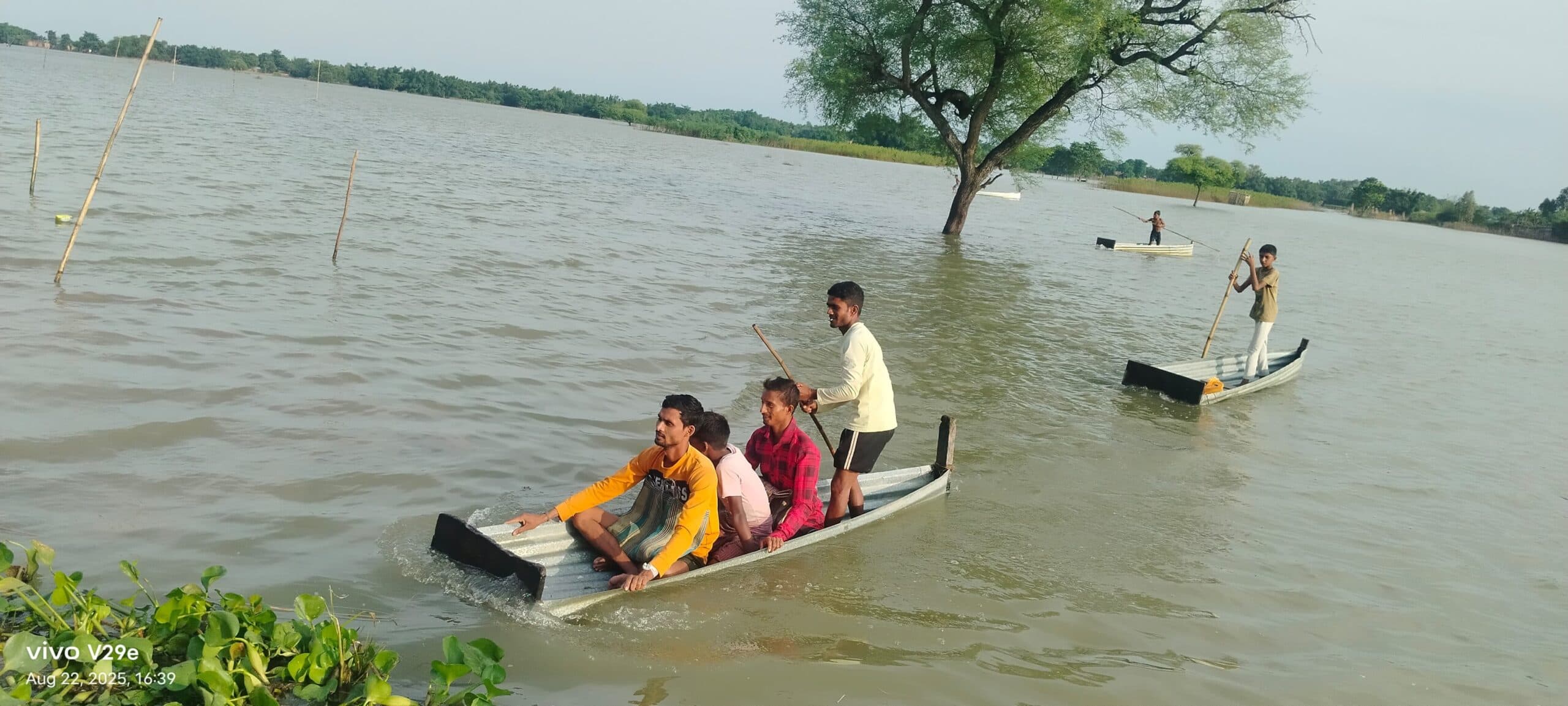 फिर बाढ़ की चपेट में अमदाबाद प्रखंड के कई गांव