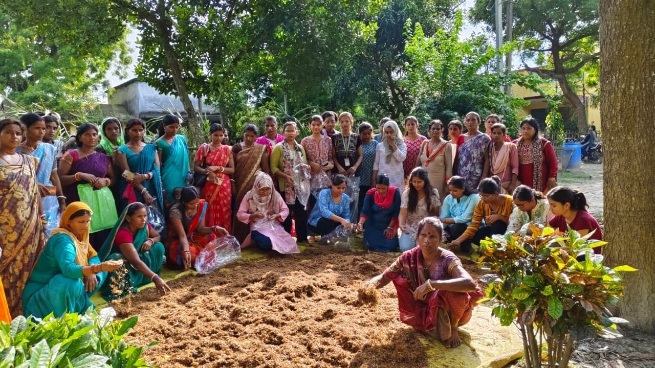 ओएस्टर मशरूम की खेती की दी गई जानकारी