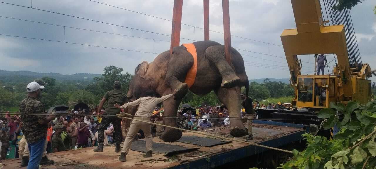 Rourkela News : ट्रेन की टक्कर से मादा हाथी की मौत, सुनाखान-सागरा के बीच ट्रेनों का परिचालन प्रभावित