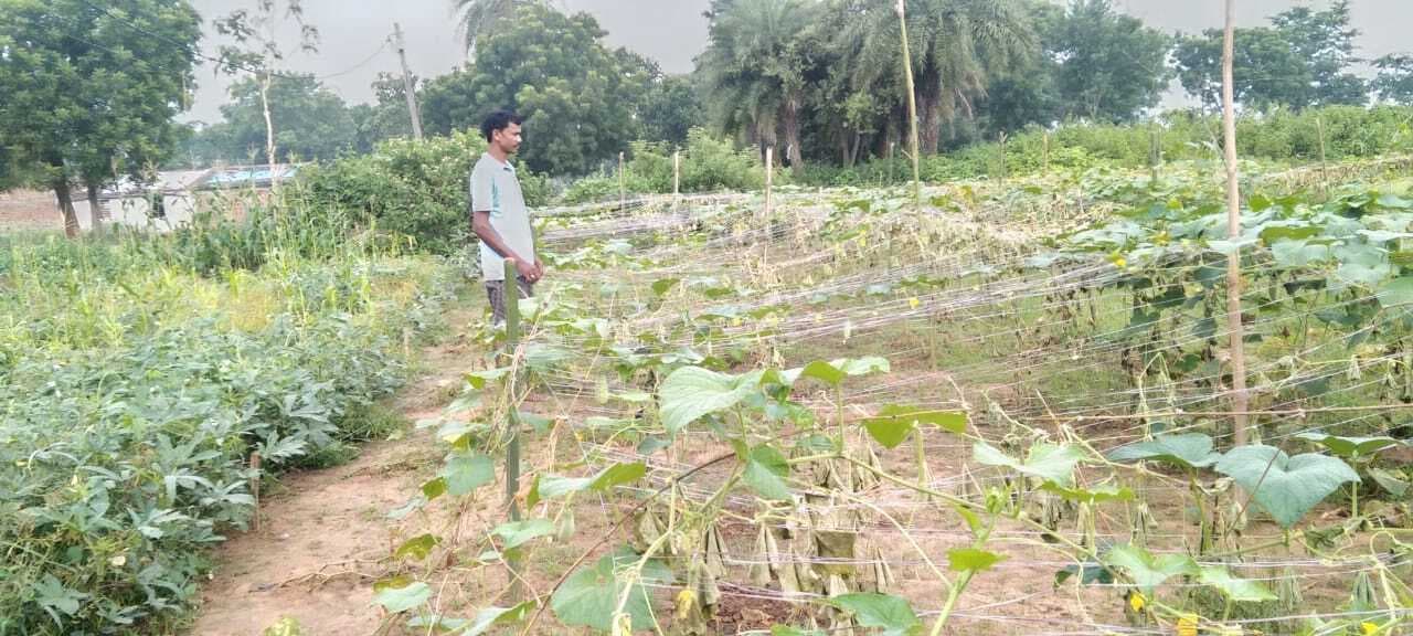 सारवां : मोटर पंप चोरी व फसल नष्ट करने की शिकायत