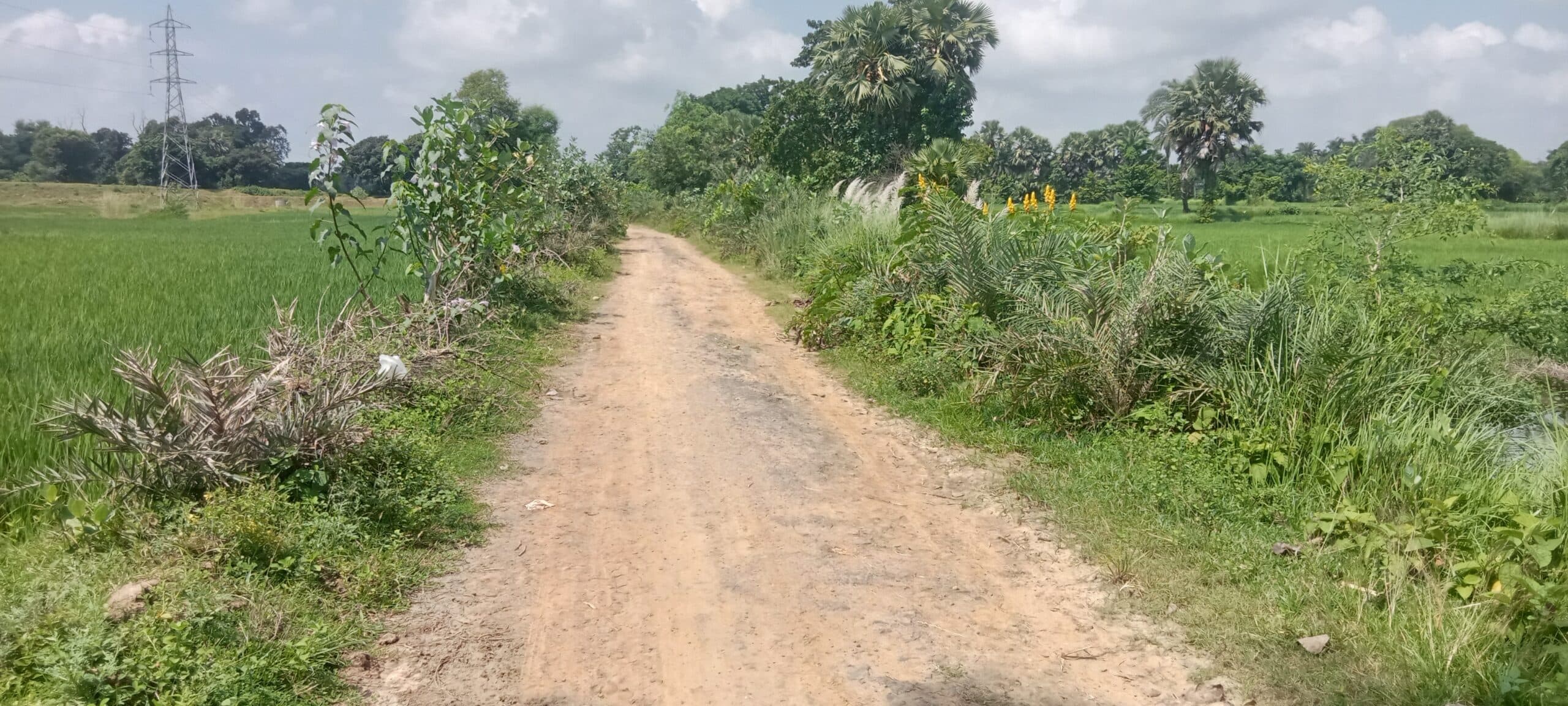 तेतरिया-परासी से बाघाकोल तक सड़क जर्जर, ग्रामीणों ने की मरम्मत की मांग