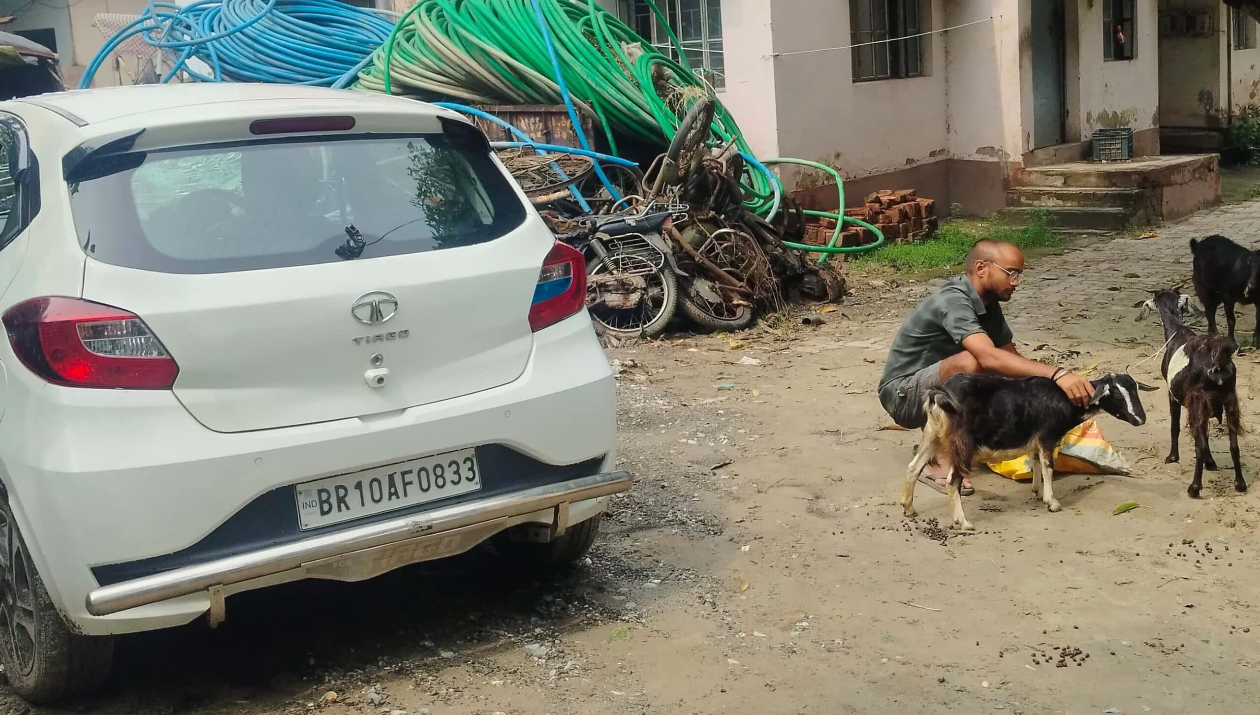 वाहन से चोरी की तीन बकरी जब्त, शातिर फरार