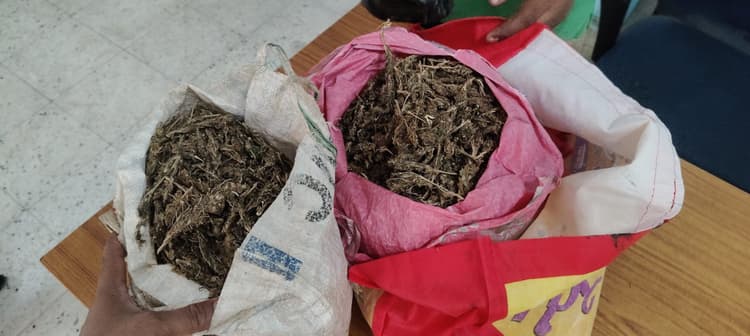 दो किलो गांजा के साथ धंधेबाज गिरफ्तार