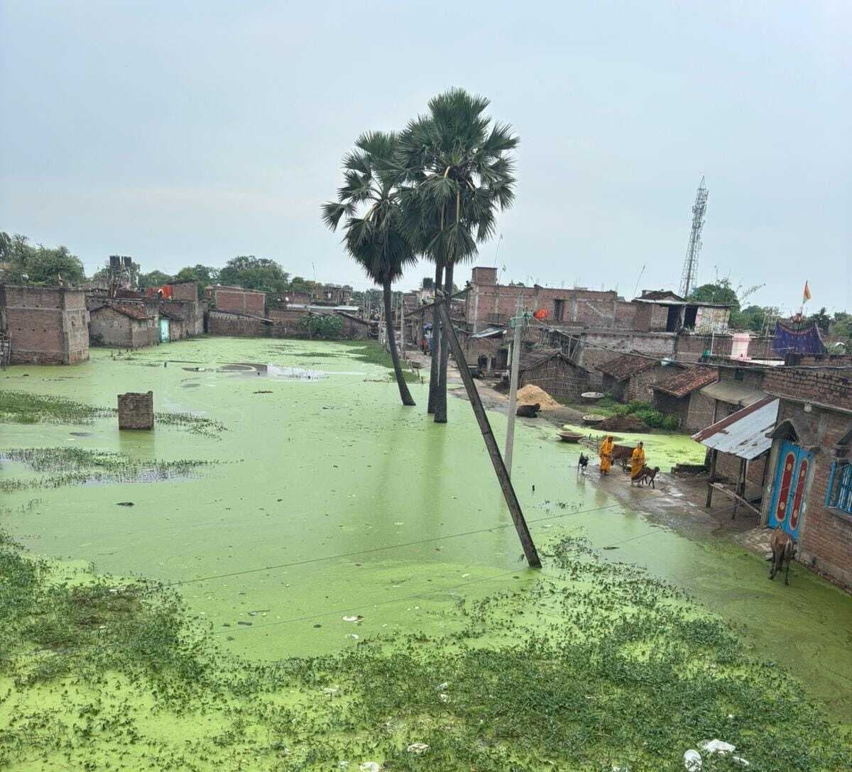 बाढ़ का प्रकोप कम होने के बावजूद सिंघिया पंचायत की स्थिति बदहाल