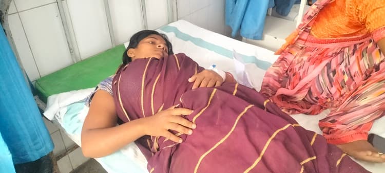 घर की सफाई के दौरान महिला को सांप ने काटा