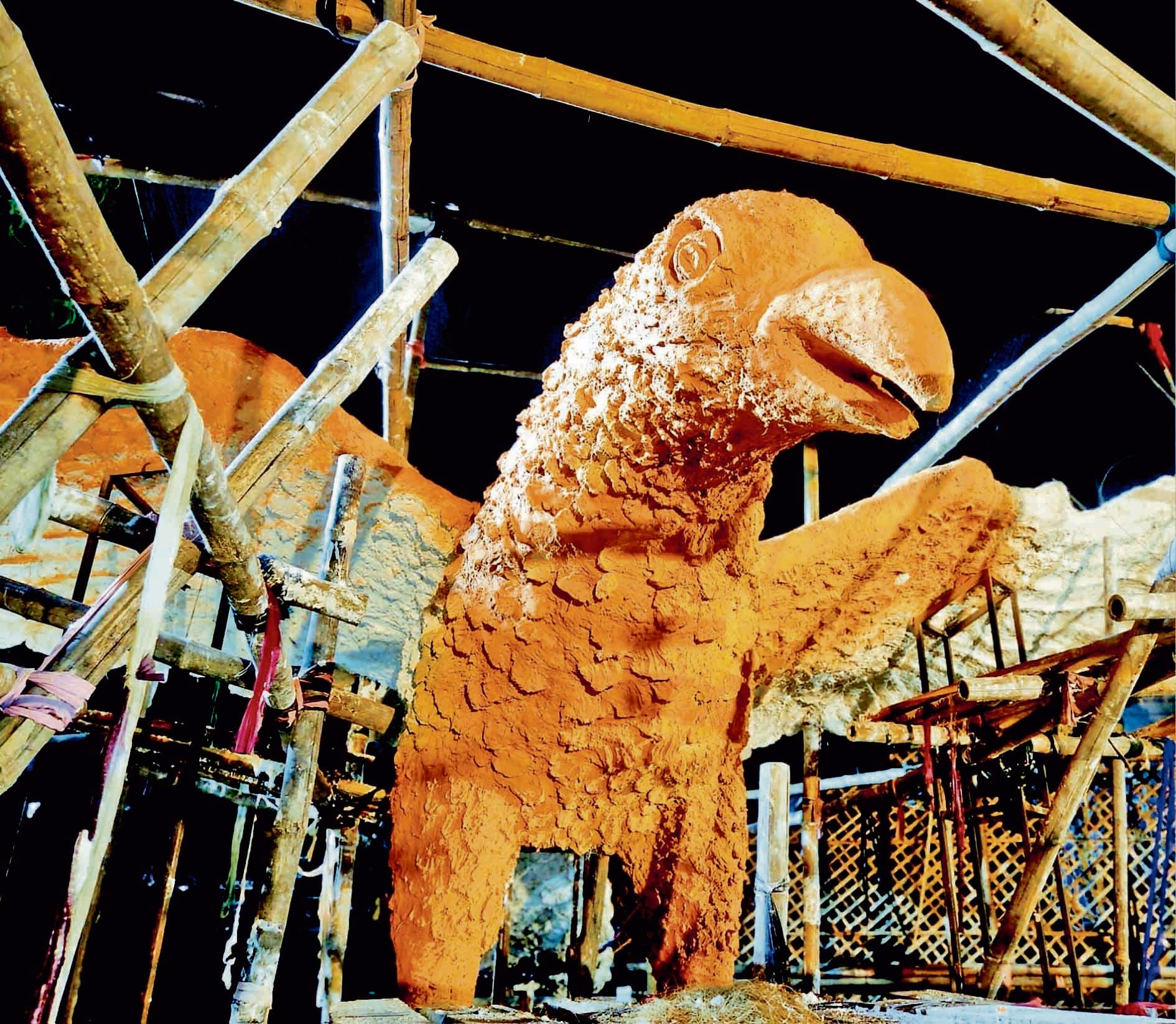 20 फीट के आकर्षक पक्षी को स्थापित कर समाज में दिया जायेगा गहरा संदेश