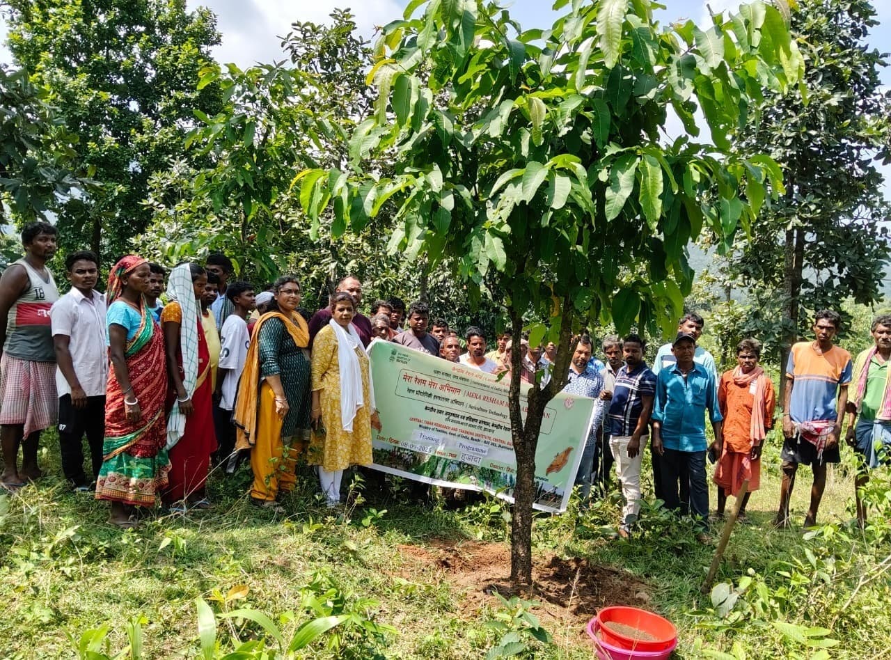 Seraikela Kharsawan News : खरसावां : रेशम की खेती में नयी तकनीक को अपनाएं