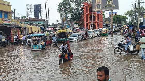 गोड्डा में झमाझम बारिश से किसानों को राहत, फसलों को मिला जीवनदान
