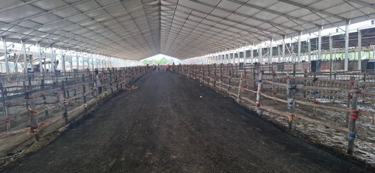 शीशाबाड़ी में अबतक की सबसे बड़ी होगी पीएम की जनसभा