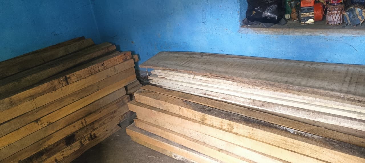 12 लाख रुपये की अवैध लकड़ी जब्त, माफिया धराया