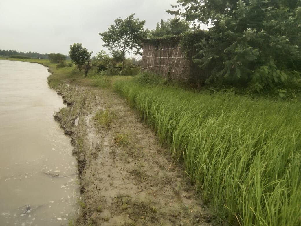 Madhubani News : कोसी नदी में कटाव शुरू