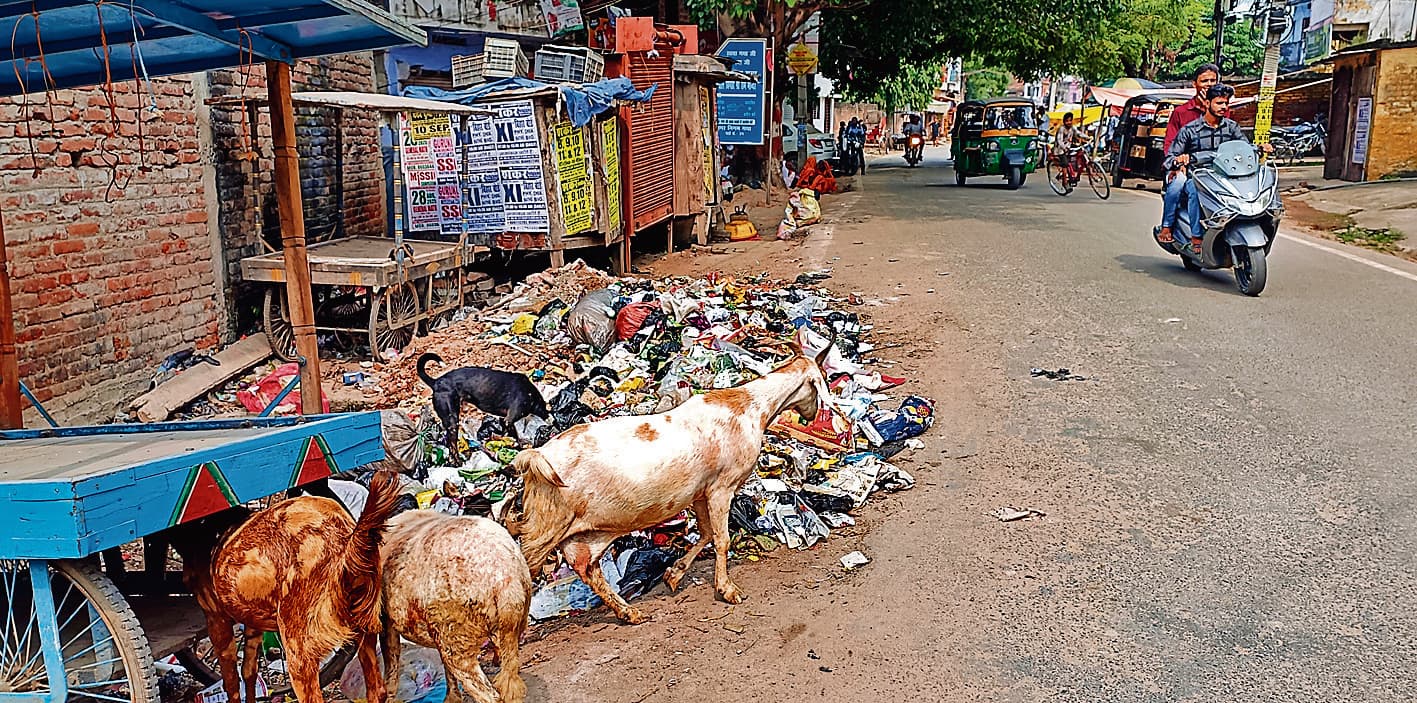 Gaya News : सिर्फ मेला क्षेत्र में सफाई, बाकी शहर कचरे से बेहाल