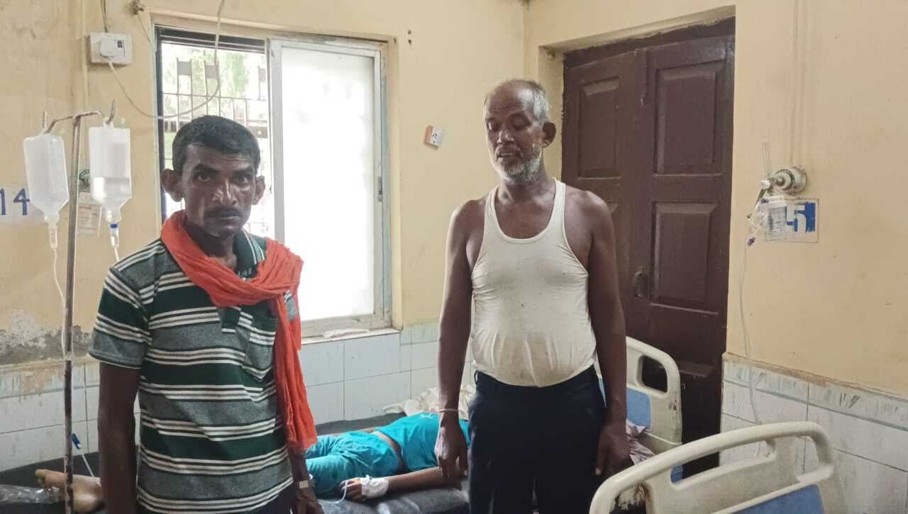 थावे में खेत में खेल रही 12 वर्षीया बच्ची को सांप ने डसा, इलाज के दौरान मौत